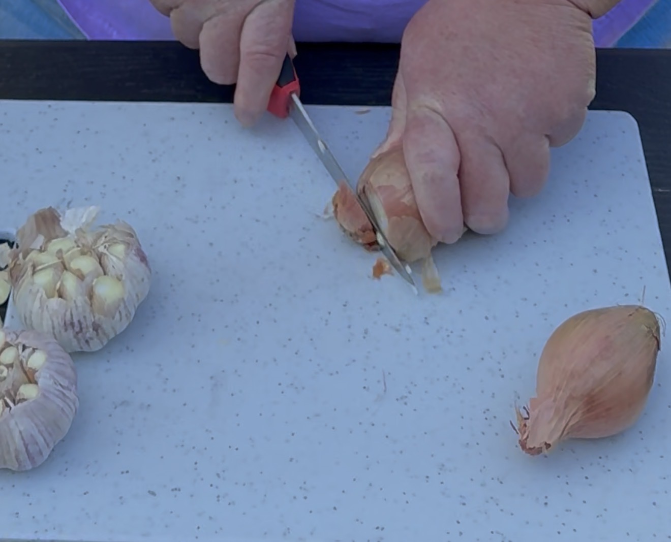 A person slices the end off a shallot on a white cutting board, with heads of garlic nearby.
