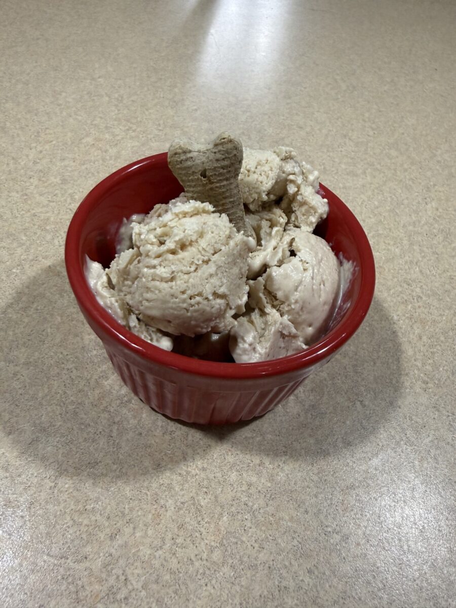 A red bowl filled with scoops of ice cream, topped with a bone-shaped dog biscuit, sits on a beige countertop.